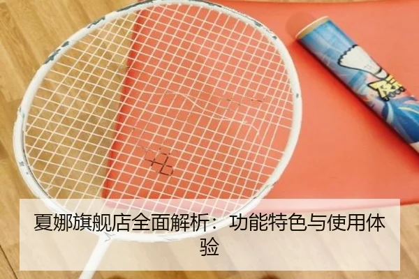 夏娜旗舰店全面解析：功能特色与使用体验