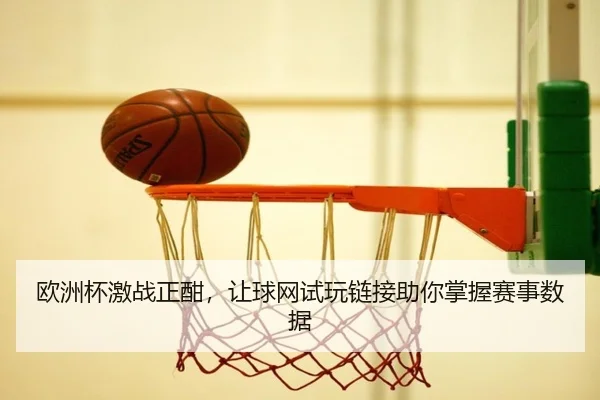 欧洲杯激战正酣，让球网试玩链接助你掌握赛事数据