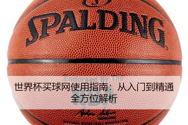 世界杯买球网使用指南：从入门到精通全方位解析