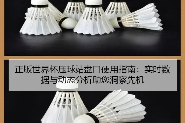 正版世界杯压球站盘口使用指南：实时数据与动态分析助您洞察先机